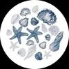atlantic_rewear